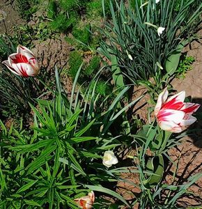 Nuovo_1_Photo7367