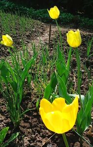 Nuovo_1_Photo7378