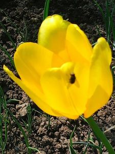 Nuovo_1_Photo7379
