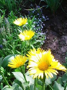 Nuovo_1_Photo7402