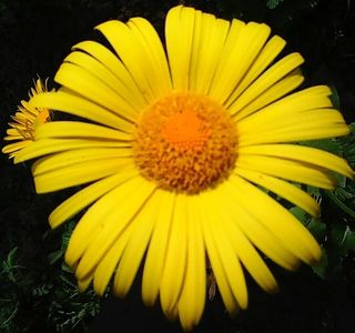Nuovo_1_Photo7404