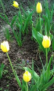 Nuovo_1_Photo7405