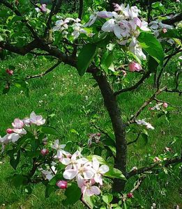 Nuovo_1_Photo7390