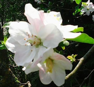Nuovo_1_Photo7396