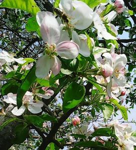 Nuovo_1_Photo7399