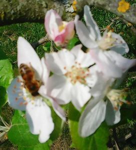 Nuovo_1_Photo7394