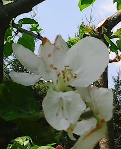 Nuovo_1_Photo7387
