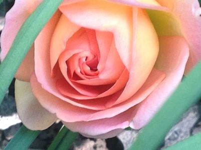 Am deschis sezonul 2018