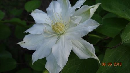 Duchess of Edinburgh