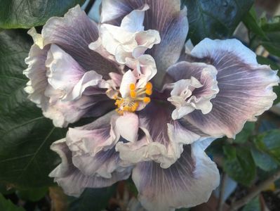 WIN_20180508_065715