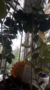 IMG-20180505-WA0022[1]