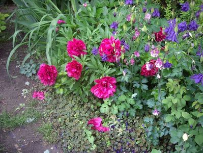 IMGP1538