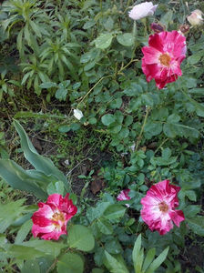 CAM00843