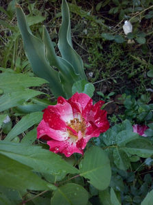CAM00844
