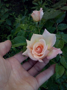 CAM00854