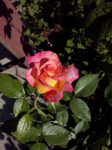 CAM00867