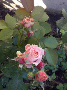 CAM00876