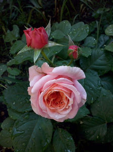 CAM00882