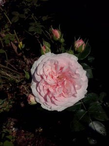 CAM00870