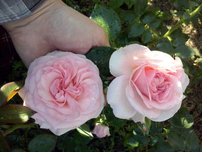 CAM00871