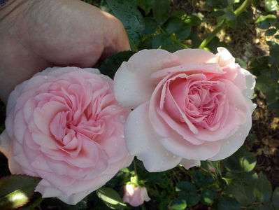 CAM00872