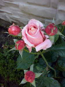 CAM00877