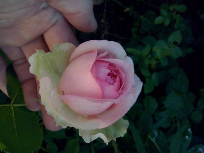 CAM00880