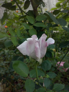 CAM00898