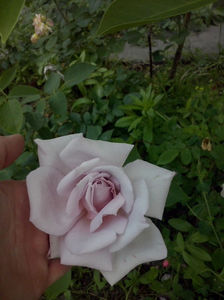 CAM00907