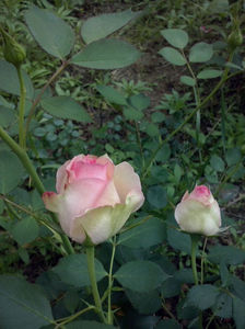 CAM00938