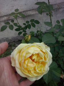 CAM00939
