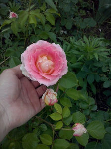 CAM00940