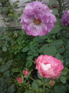 CAM00947