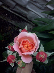 CAM00991