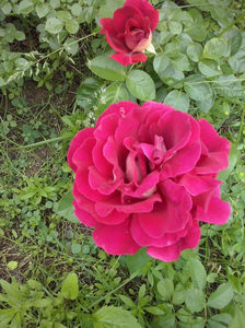 CAM01176