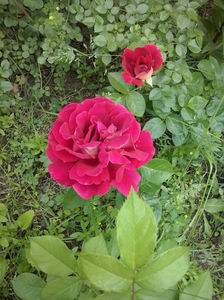 CAM01178