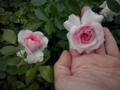 CAM01188
