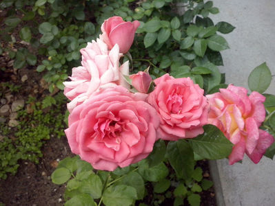 CAM01192