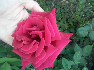 CAM01198