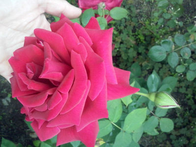 CAM01199