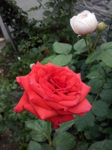 CAM01202