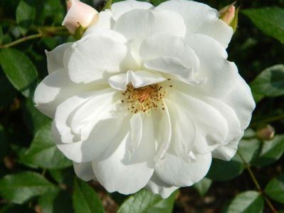 027 (2)