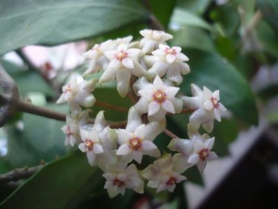 P1370241