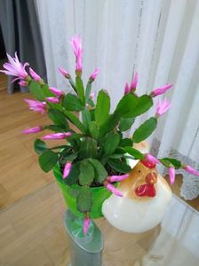 EASTERITZA