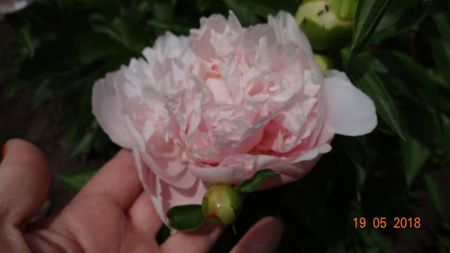 I'm in Love :)