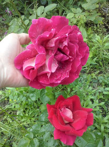 CAM01274