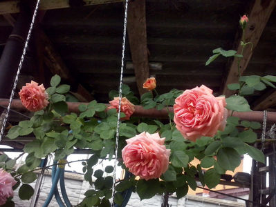 CAM01275