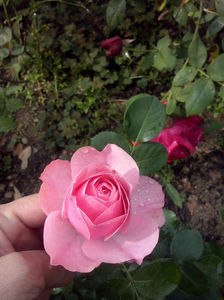 CAM01283