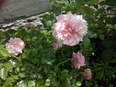 CAM01404