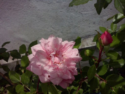 CAM01405